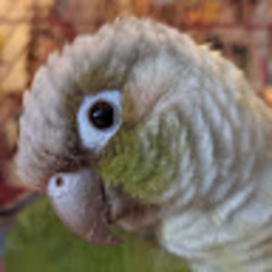 Meet your Posher, Jeremy